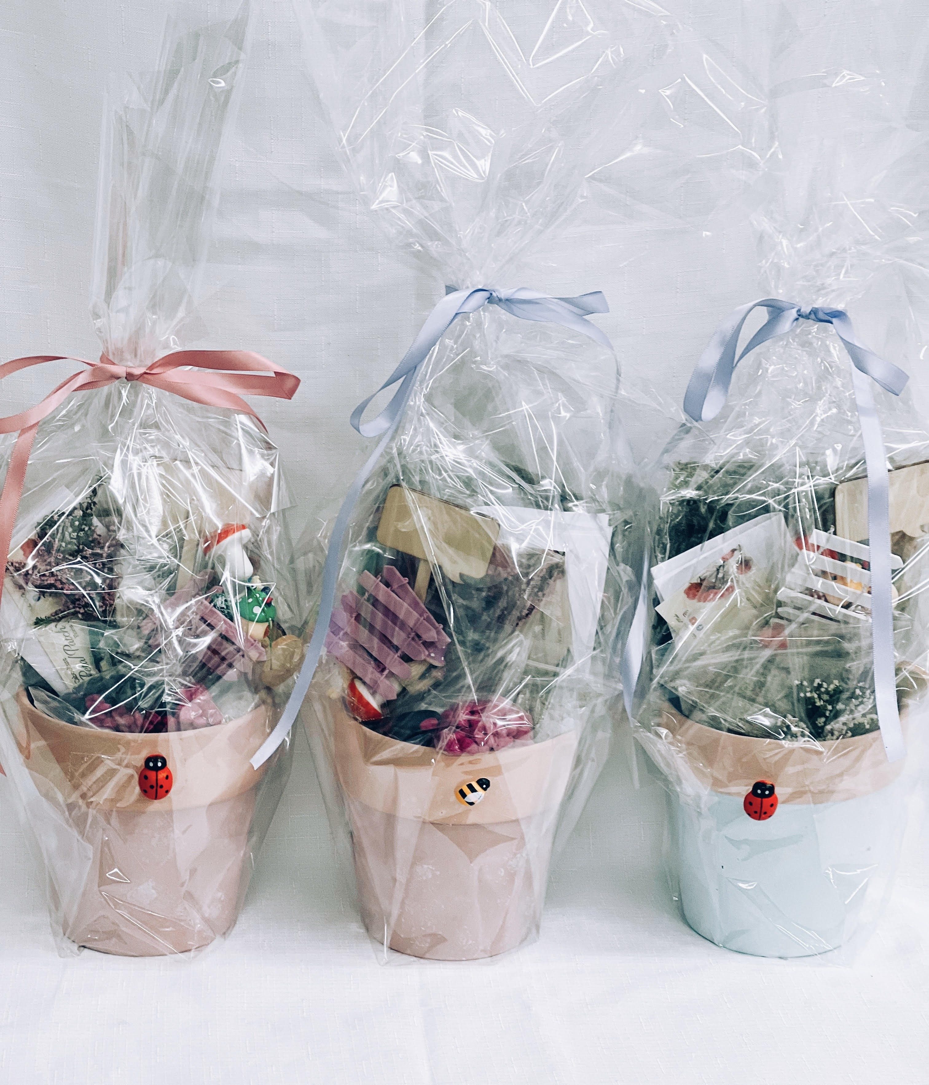 DIY fairy garden kit