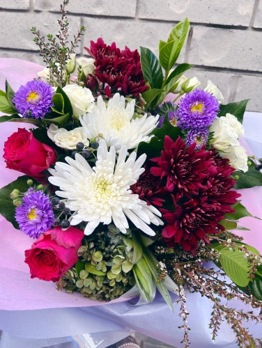 Aster