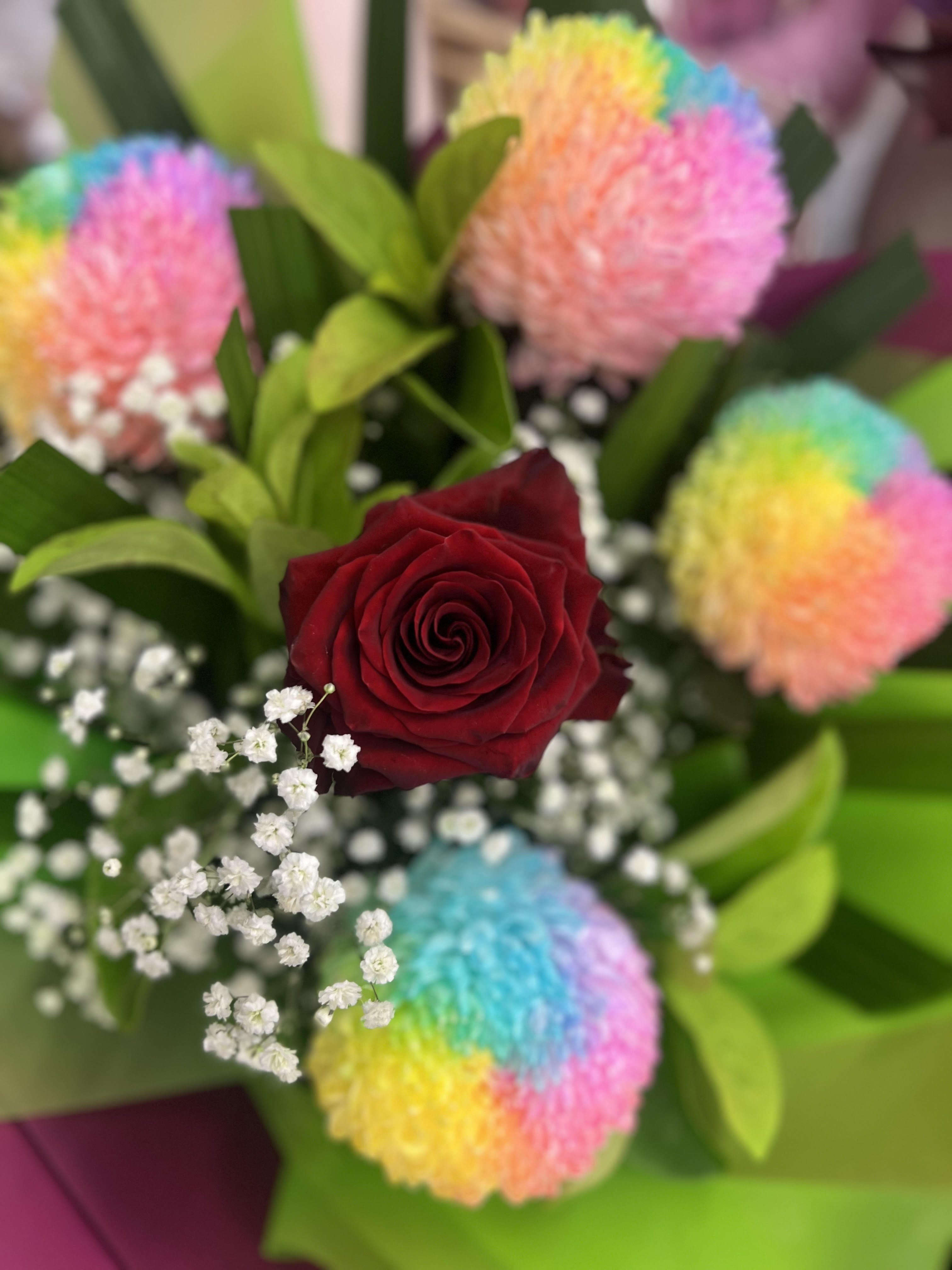 Rainbow Love with rainbow teddy