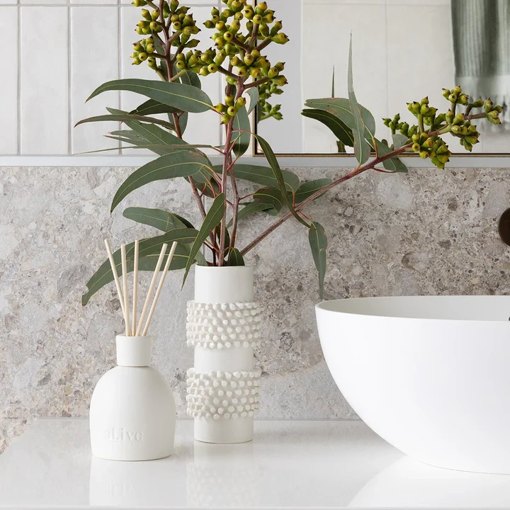 Sweet Dewberry & Clove Diffuser