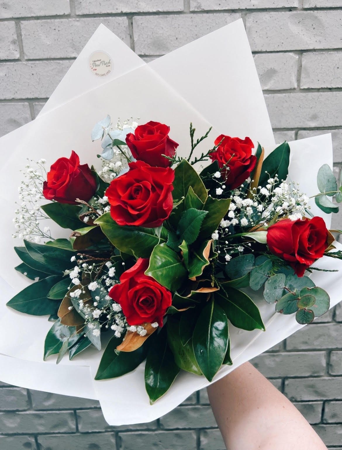 Chocolate Strawberry Half Dozen