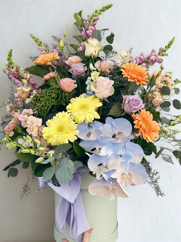 Macaron Premium Arrangement