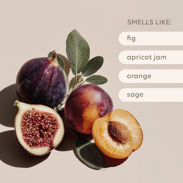 Reed Diffuser Apricot & Sweet Fig