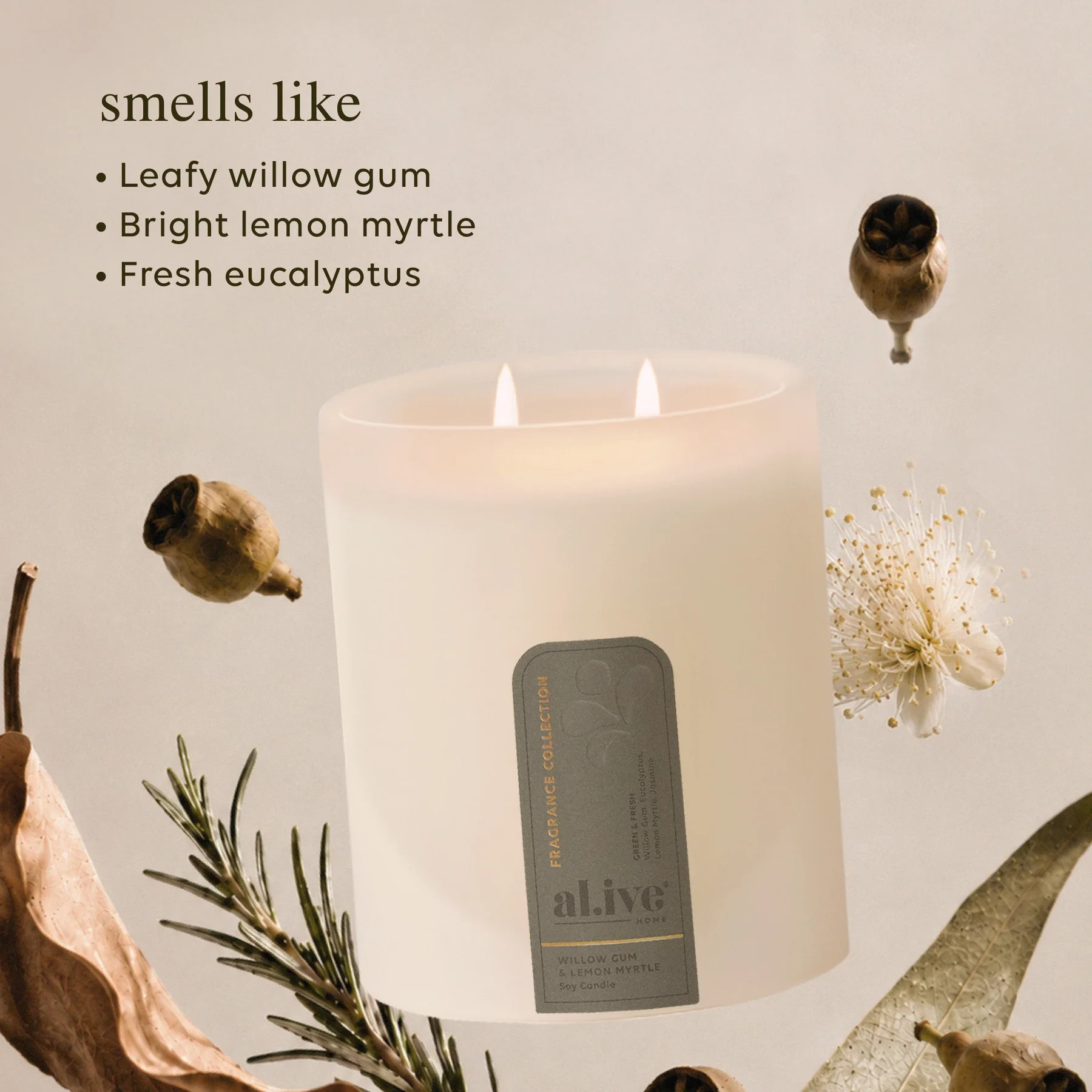 Soy Candle Willow Gum & Lemon Myrtle