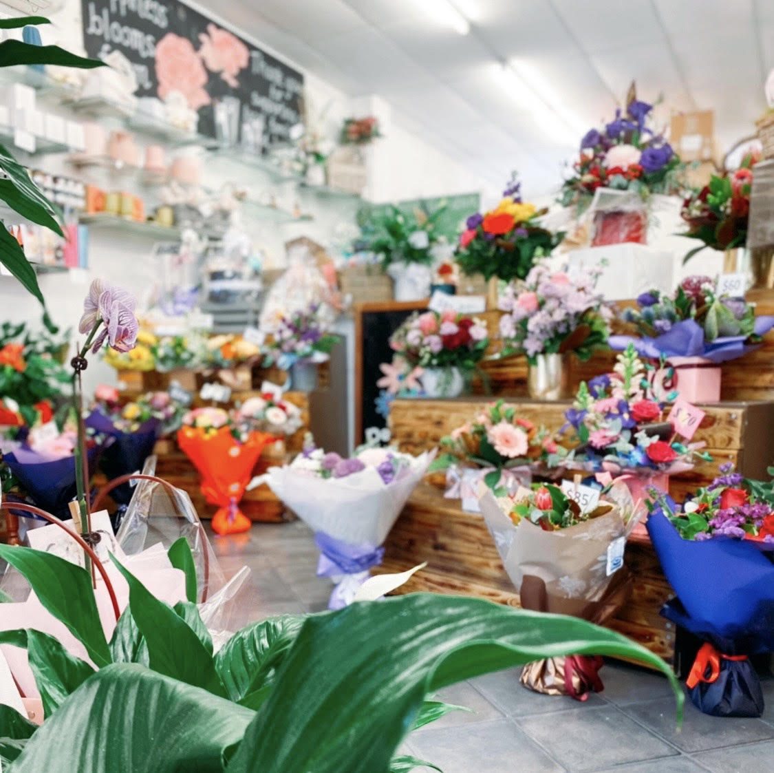 Caboolture Florist Petal Patch Same Day Delivery